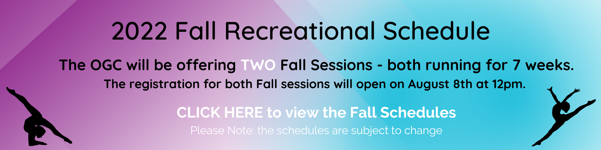 Home Page Ottawa Gymnastics Centre